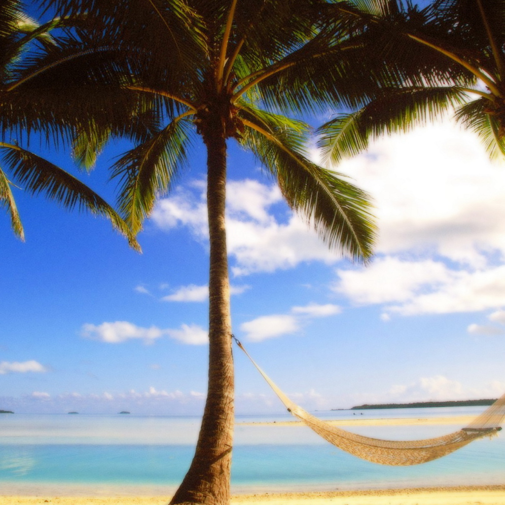 Пальмы на берегу