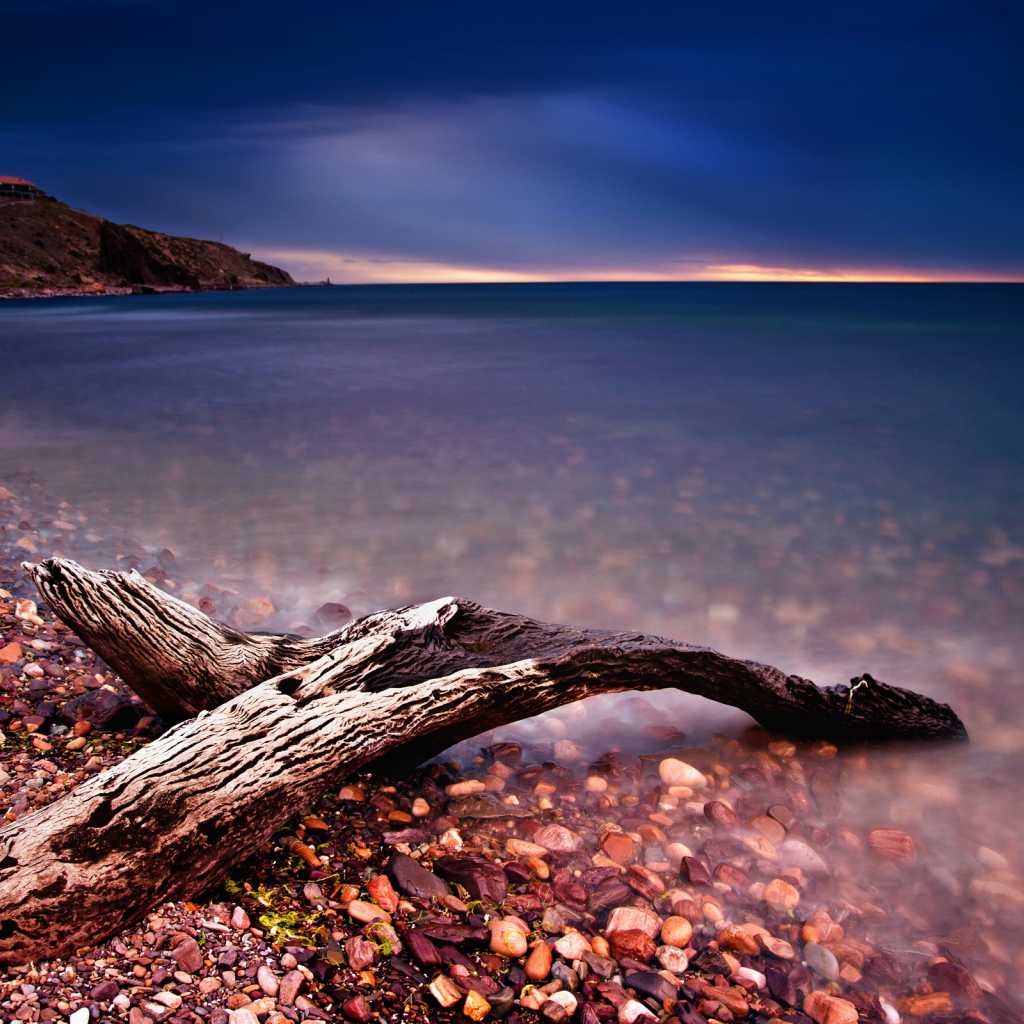 Коряга на берегу