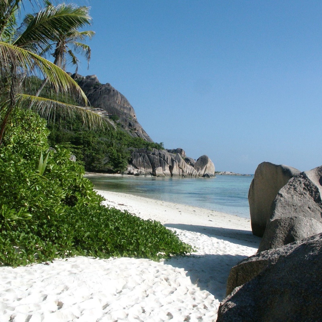 Тропический пляж