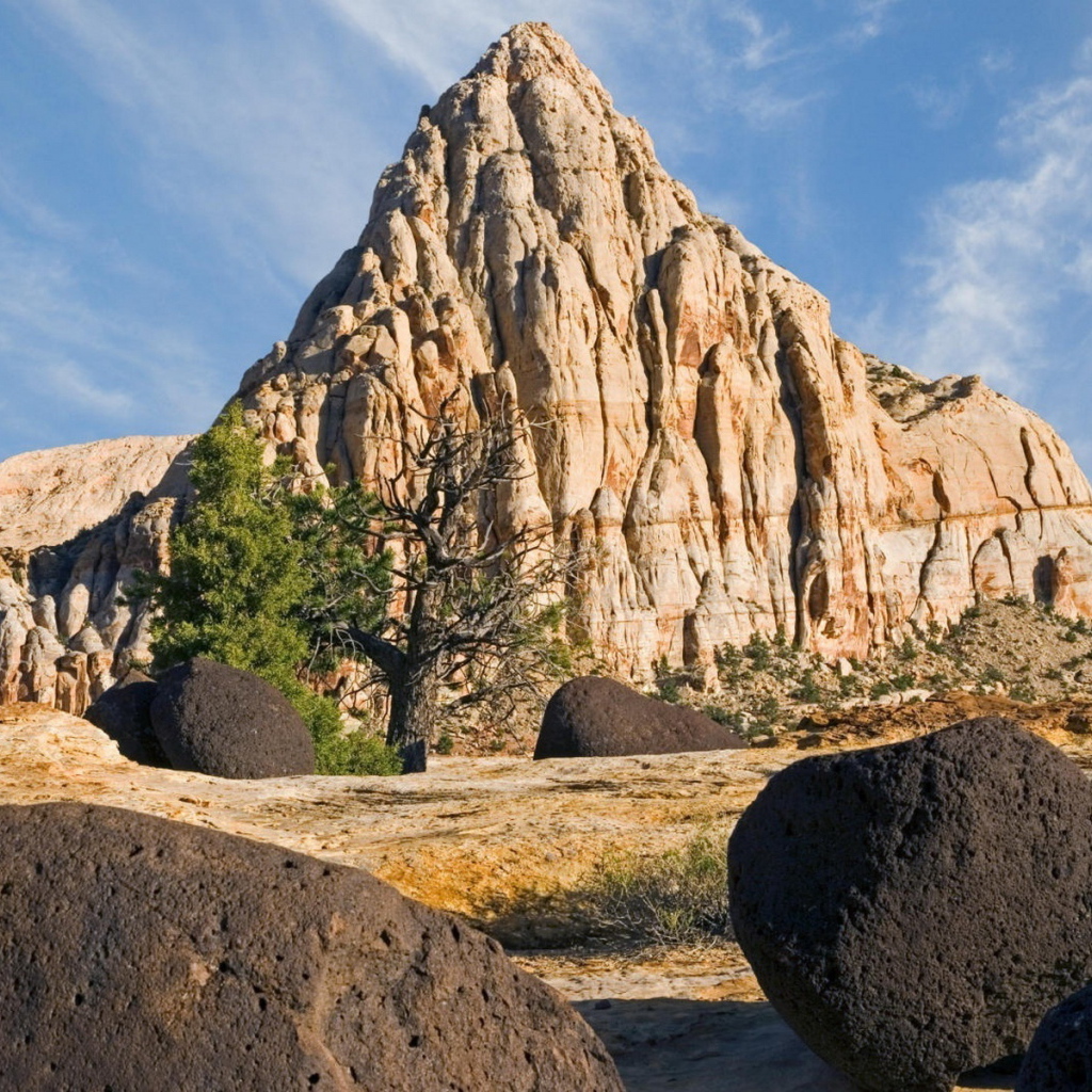 Пустынный пейзаж