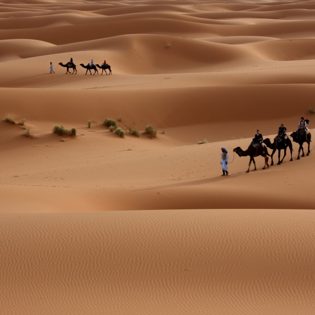 Прогулка по пустыне