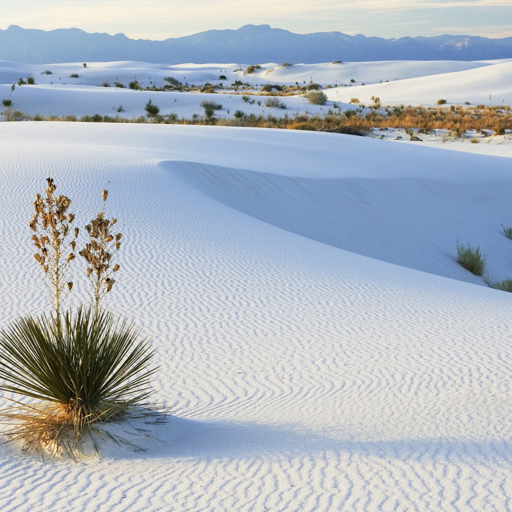Белые пески