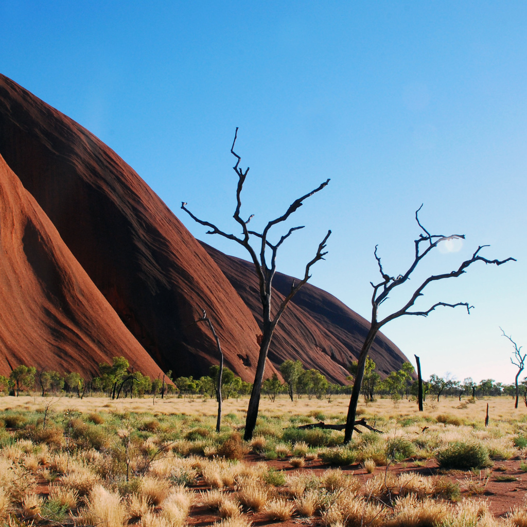 Горы пустыни