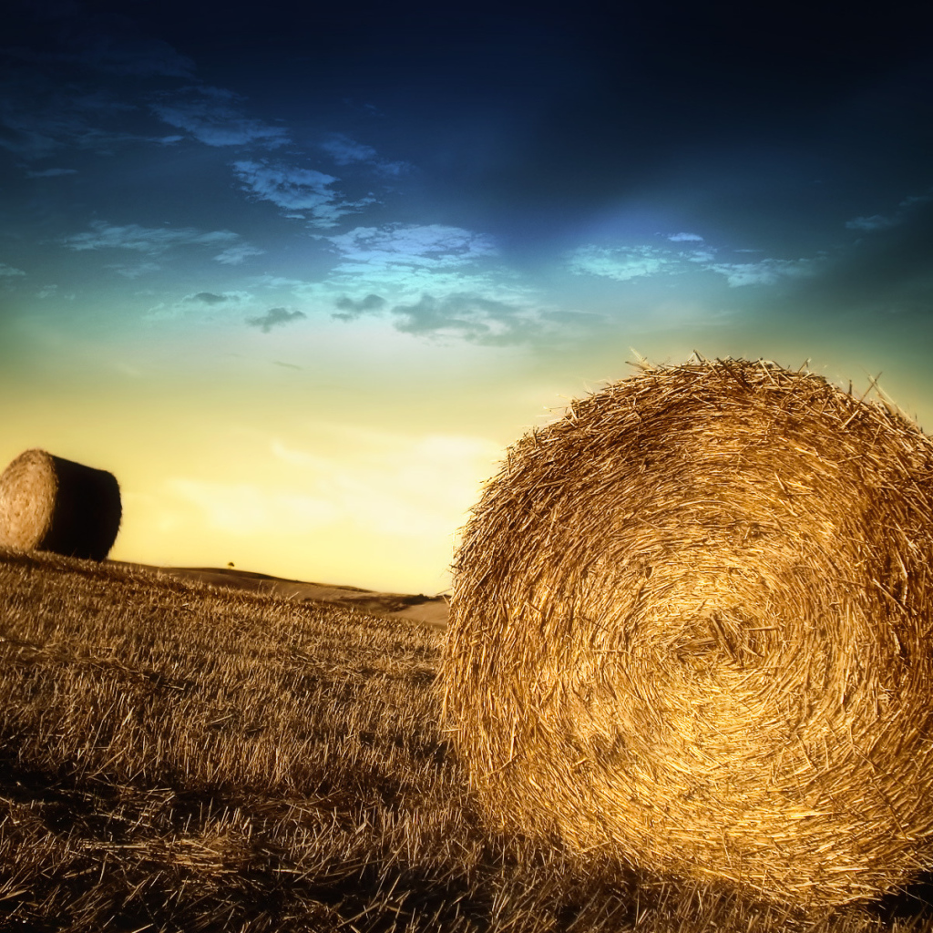 Тюки с соломой