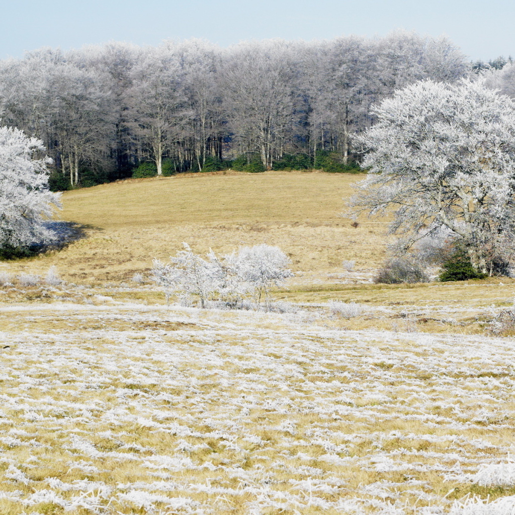 Холодным утром