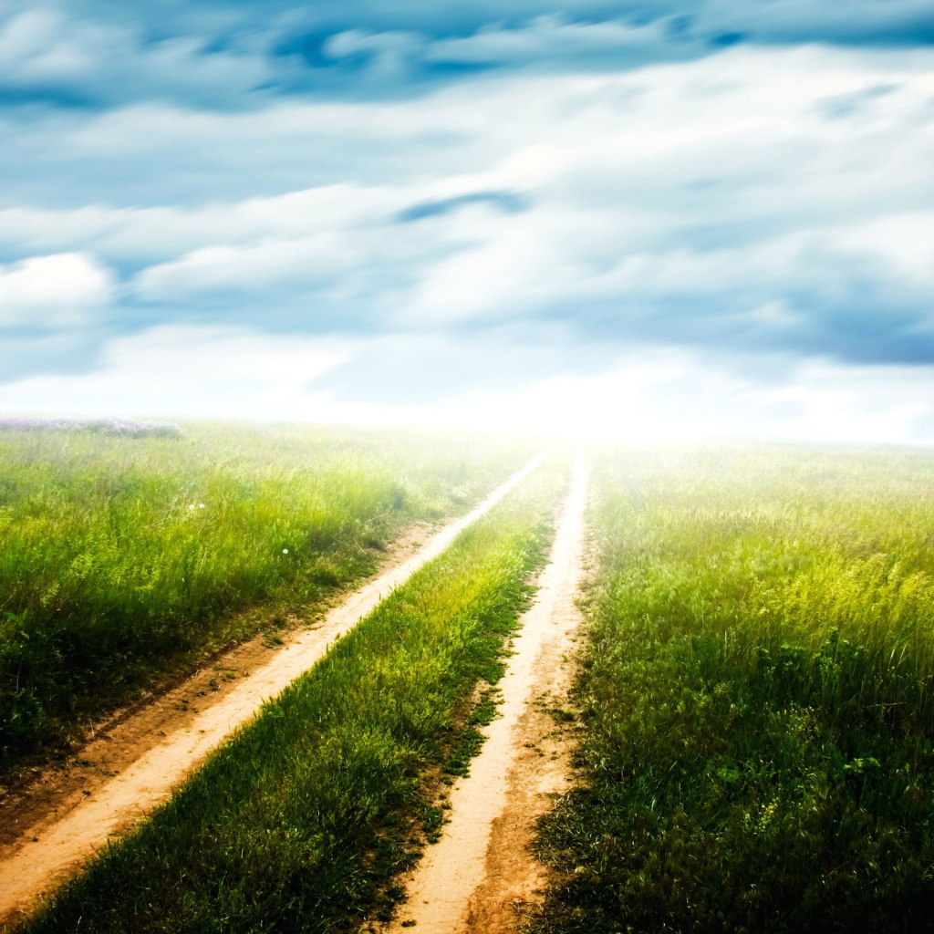 Грунтовая дорога