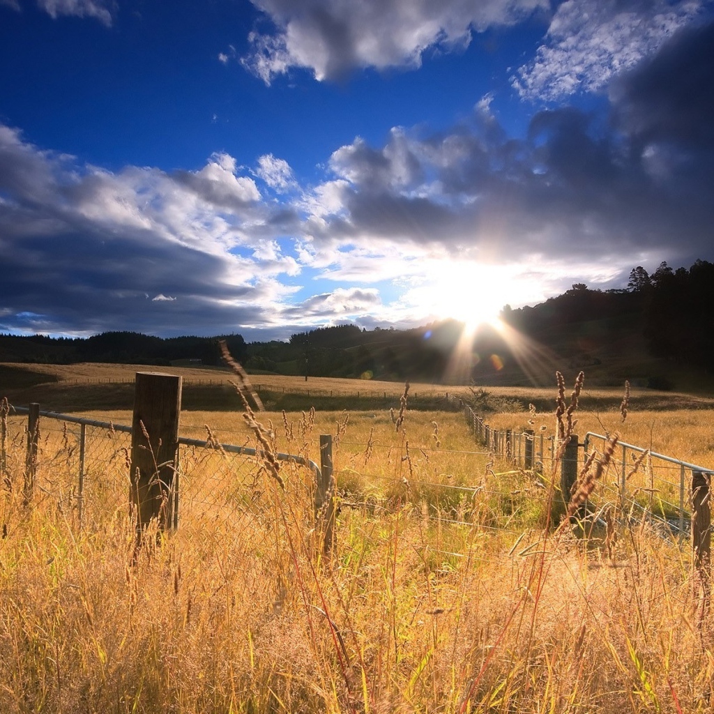 Огороженное поле