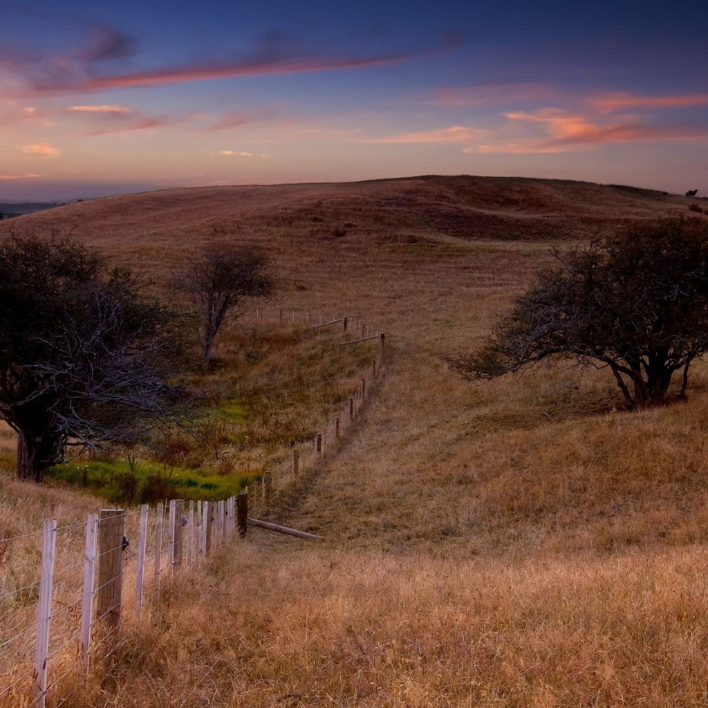 Поле и забор