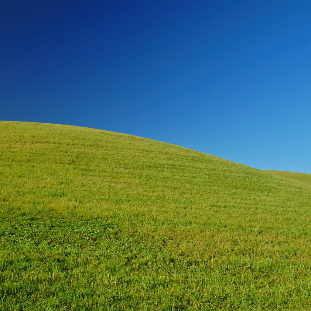 Свежая зелень