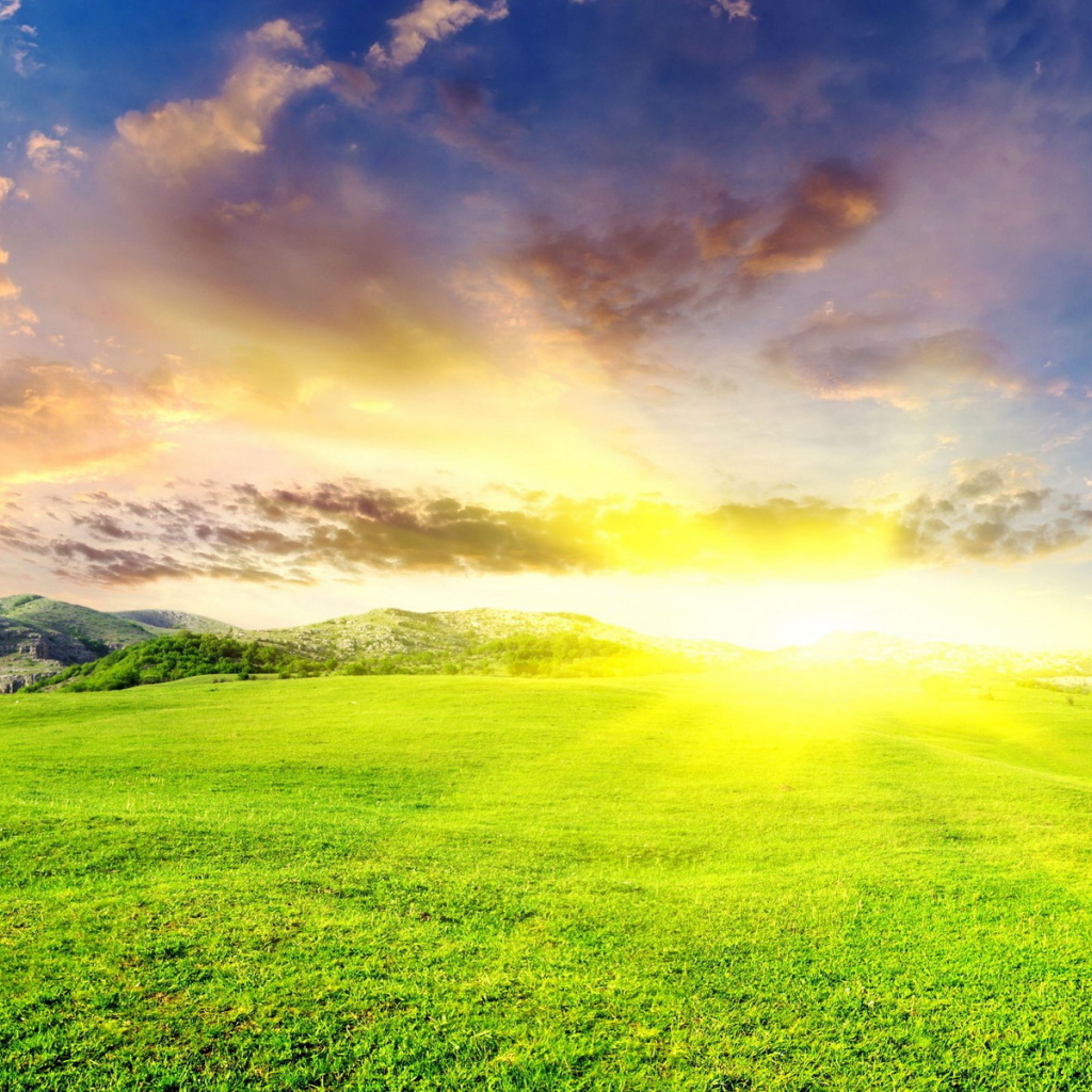 Зеленые луга