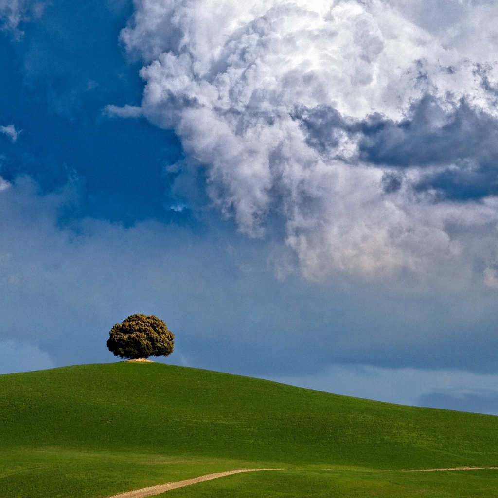 Один в поле