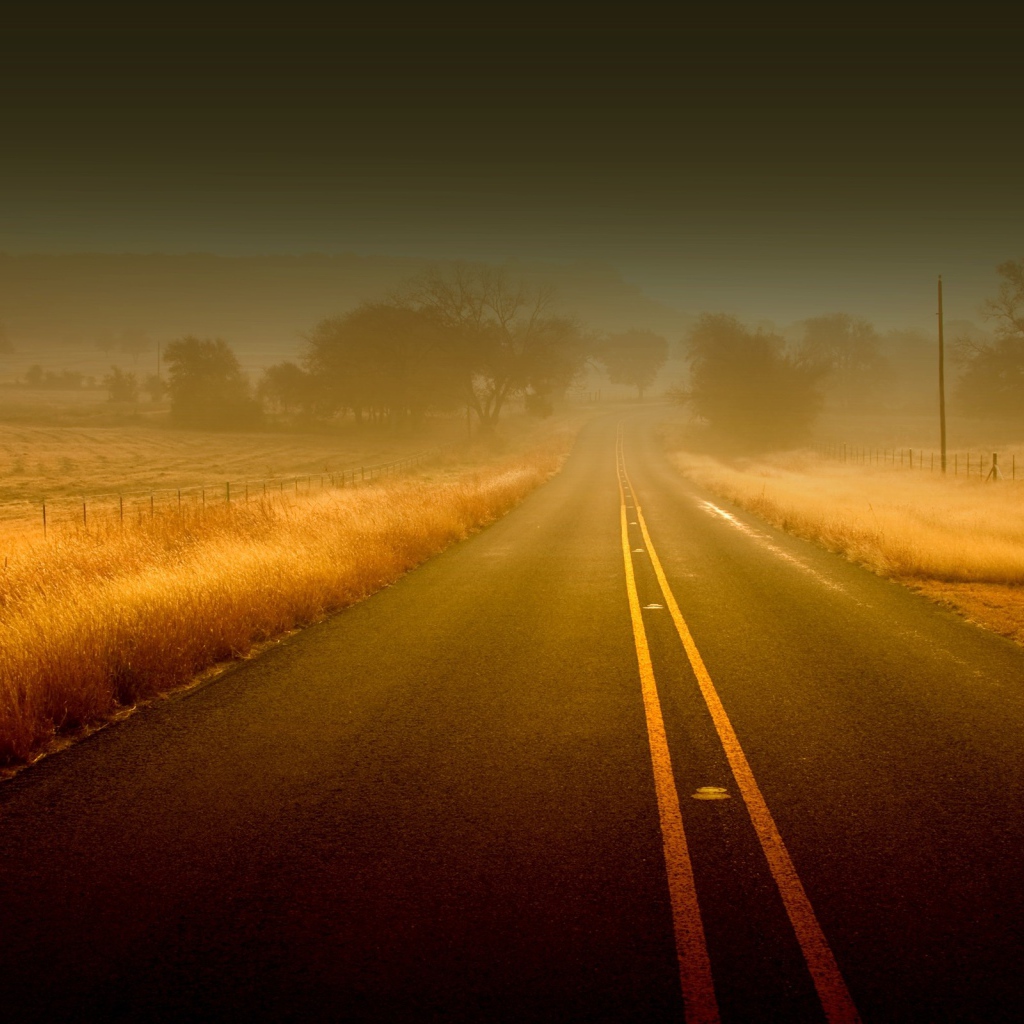 Дорога среди полей