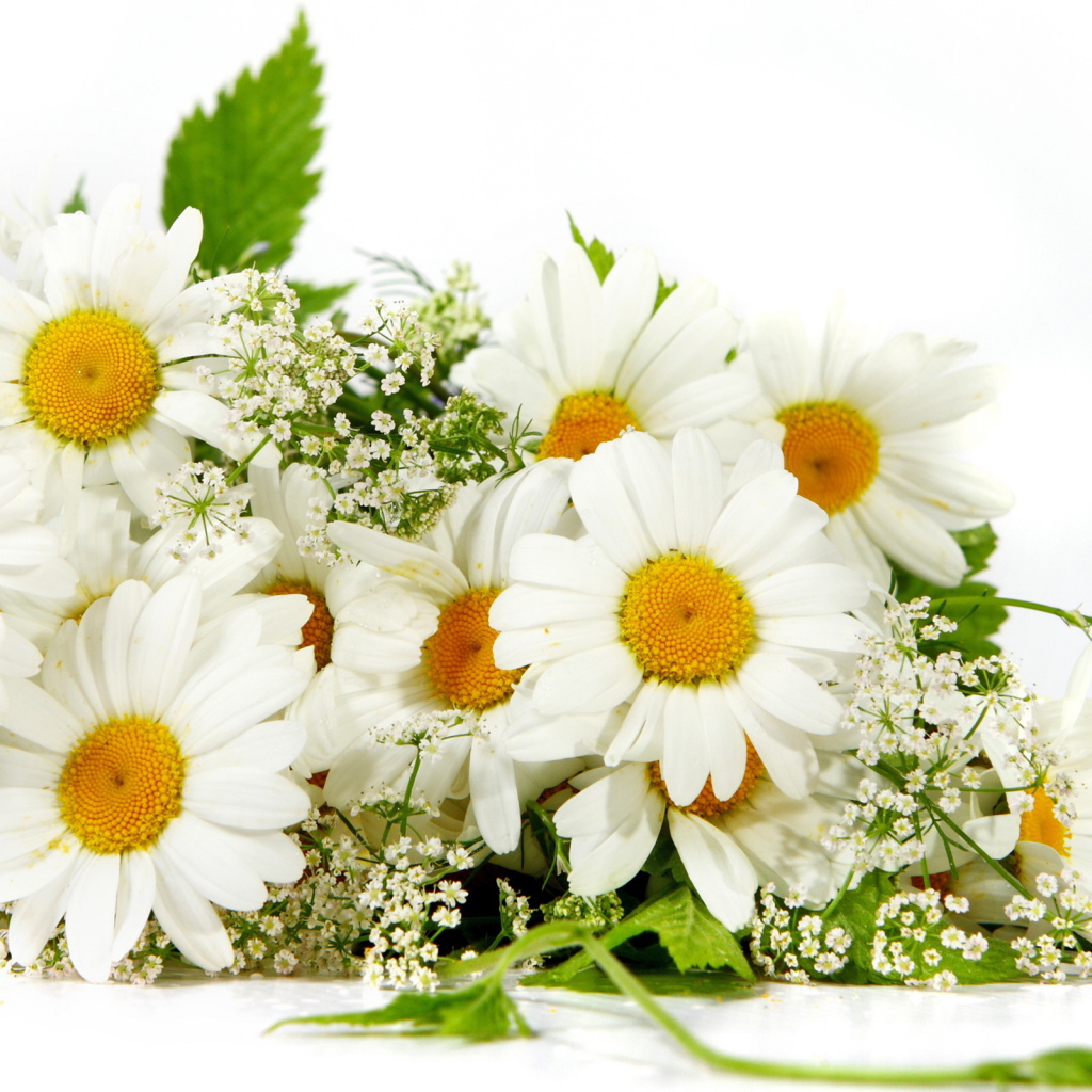Букет из ромашек