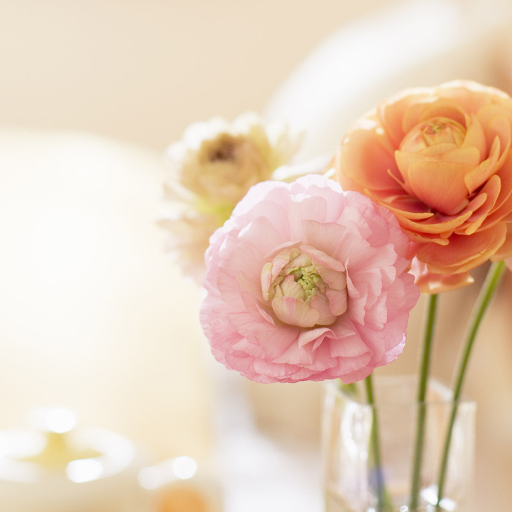 Нежные цветочки в вазе