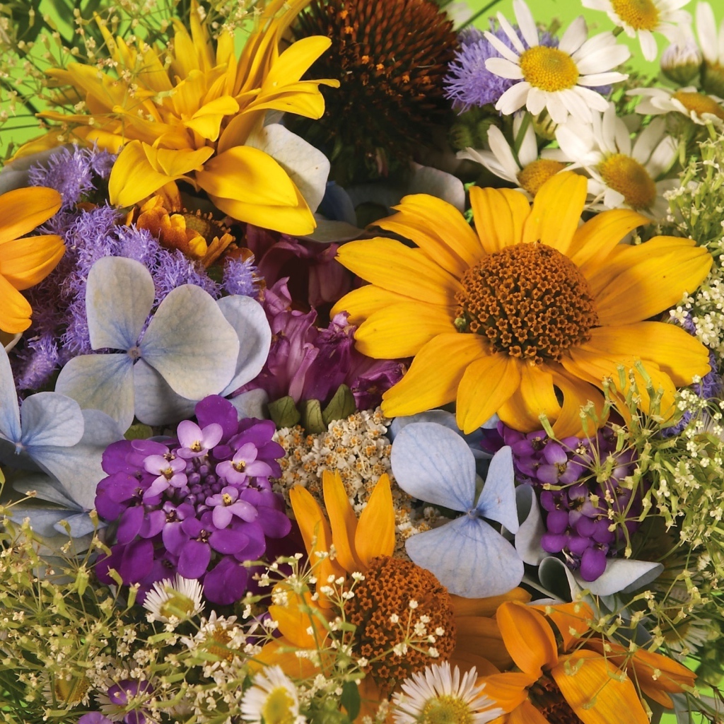 Цветочная композиция