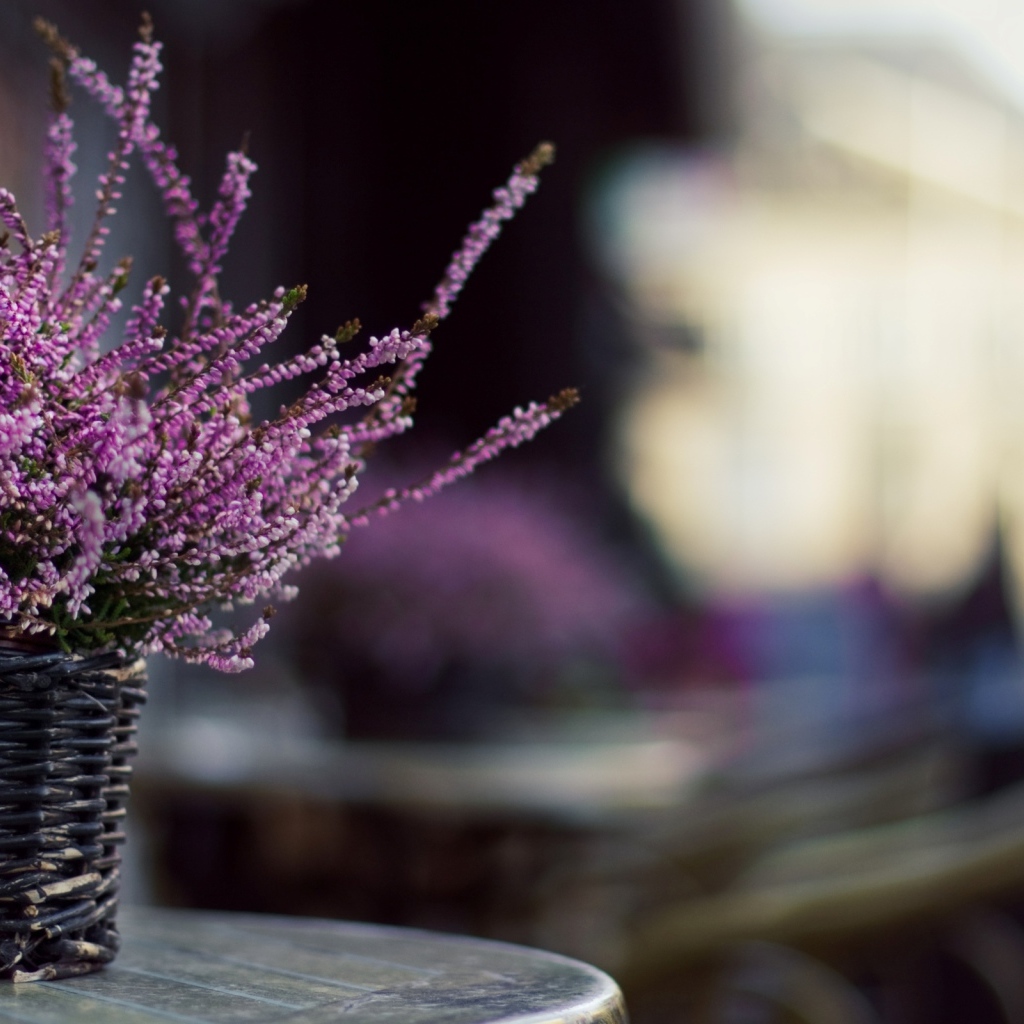 Цветы в корзинке