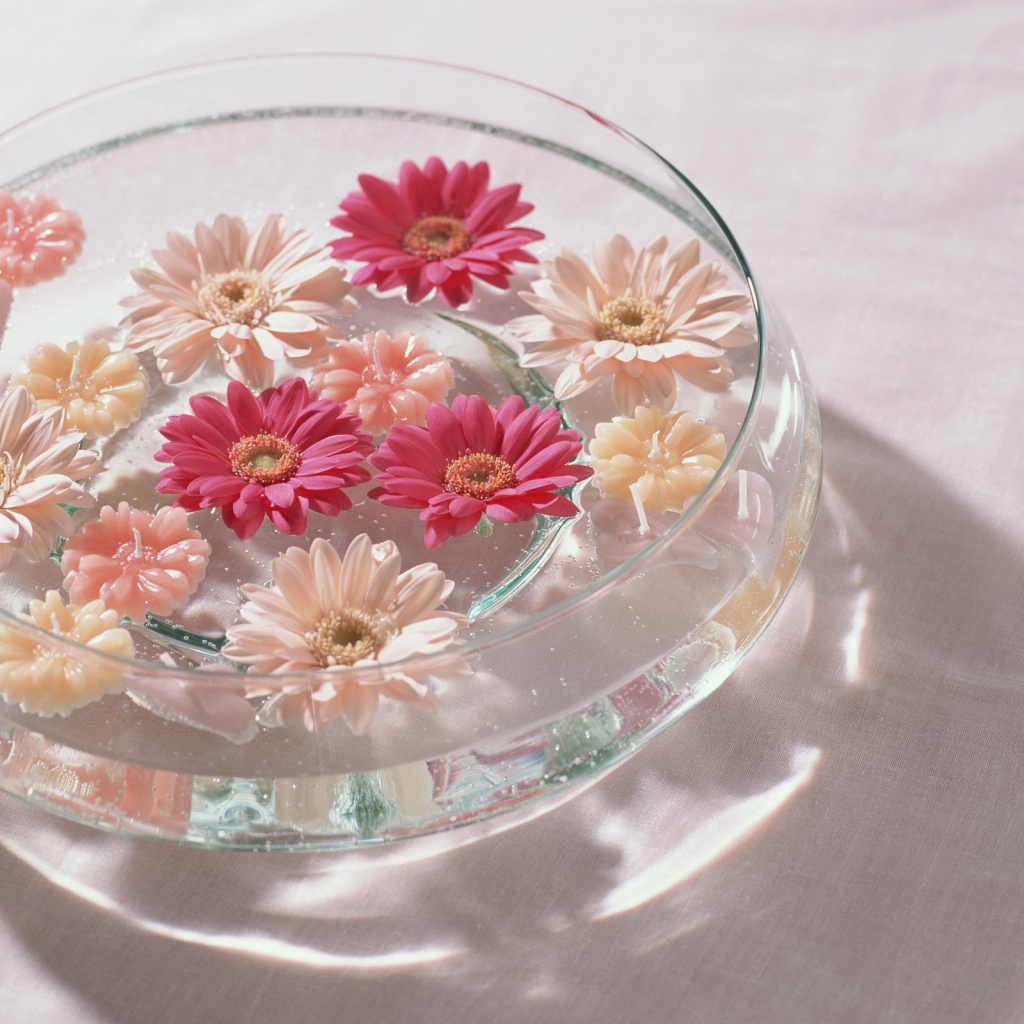 Герберы в воде