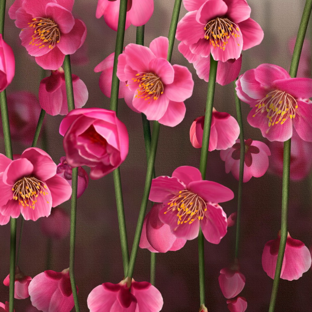 Рисунок цветов