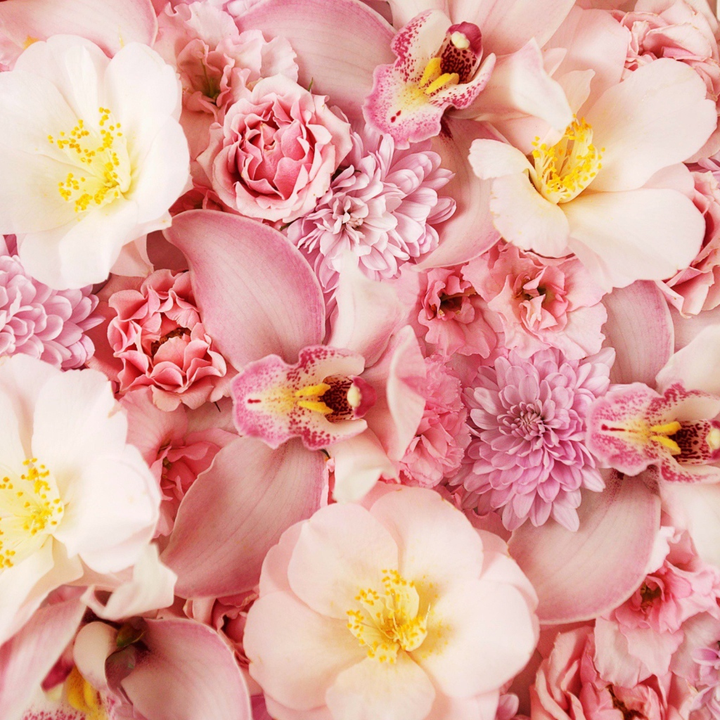 Розовые цветы