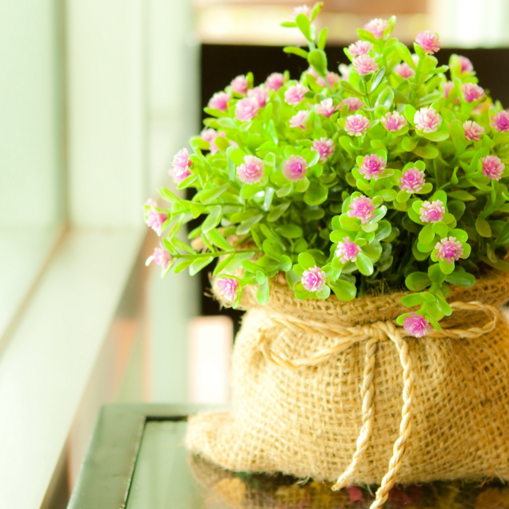 Мелкие цветочки