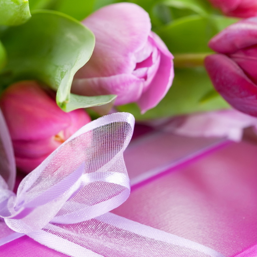 Тюльпаны и подарок