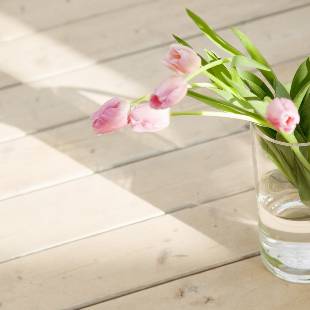 Тюльпаны в стакане