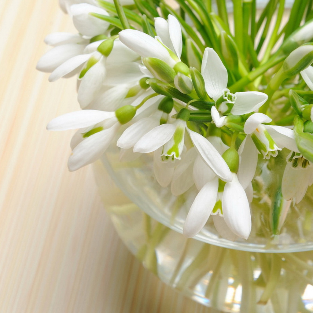 вазочка Подснежников