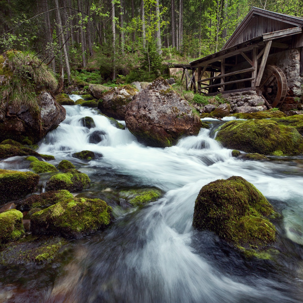 Лесная река фото