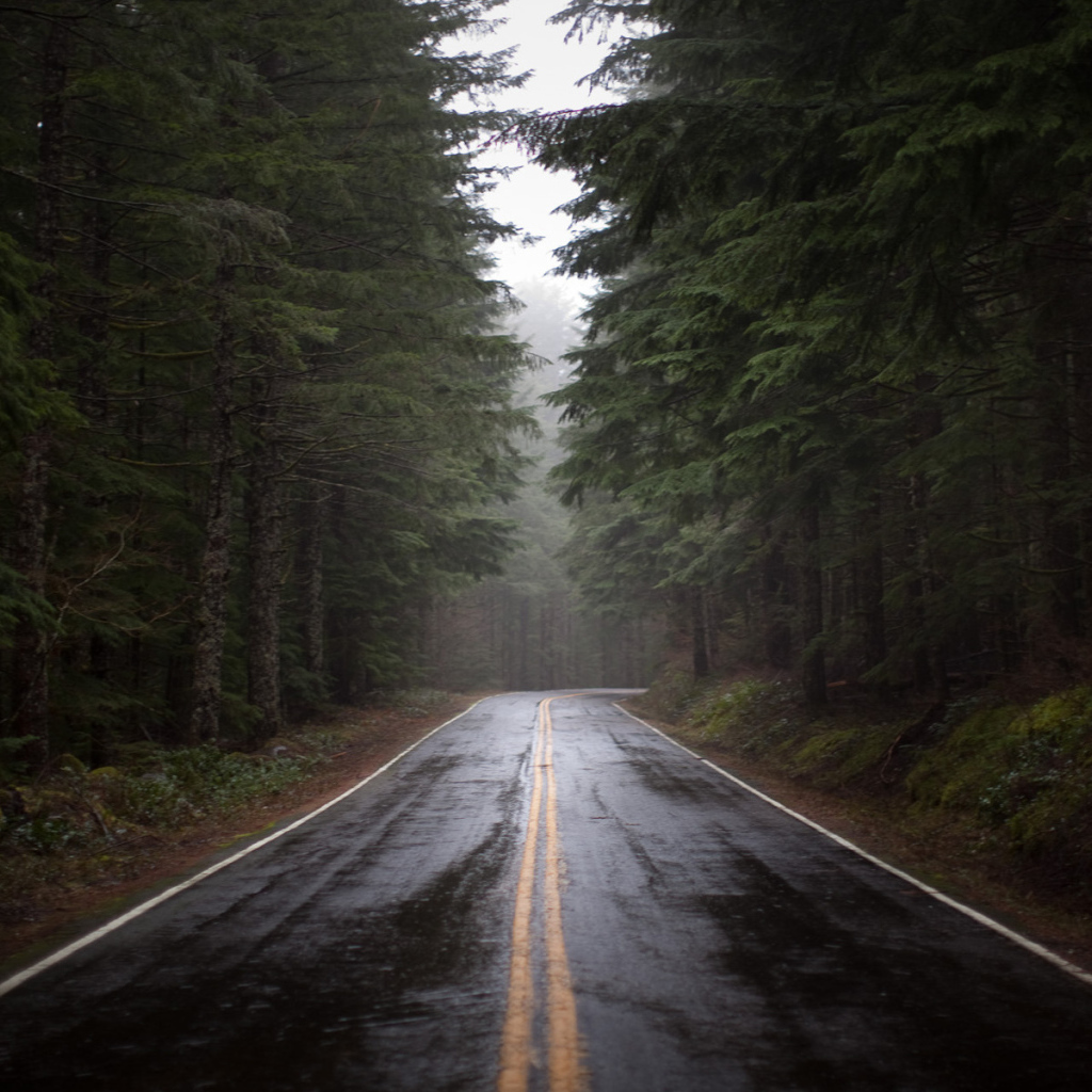 Дорога после дождя