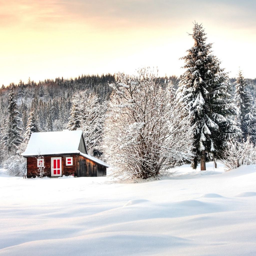 Домик в лесу