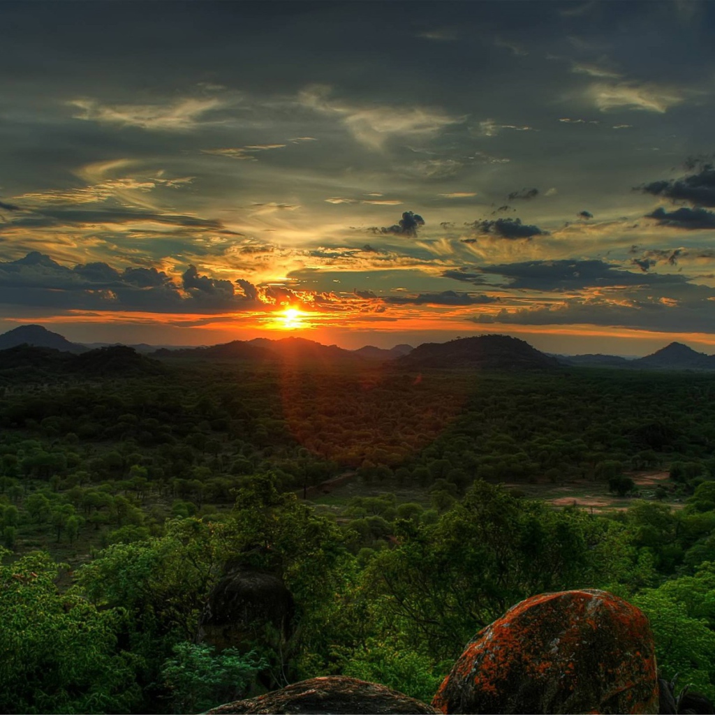 Лес с высоты гор