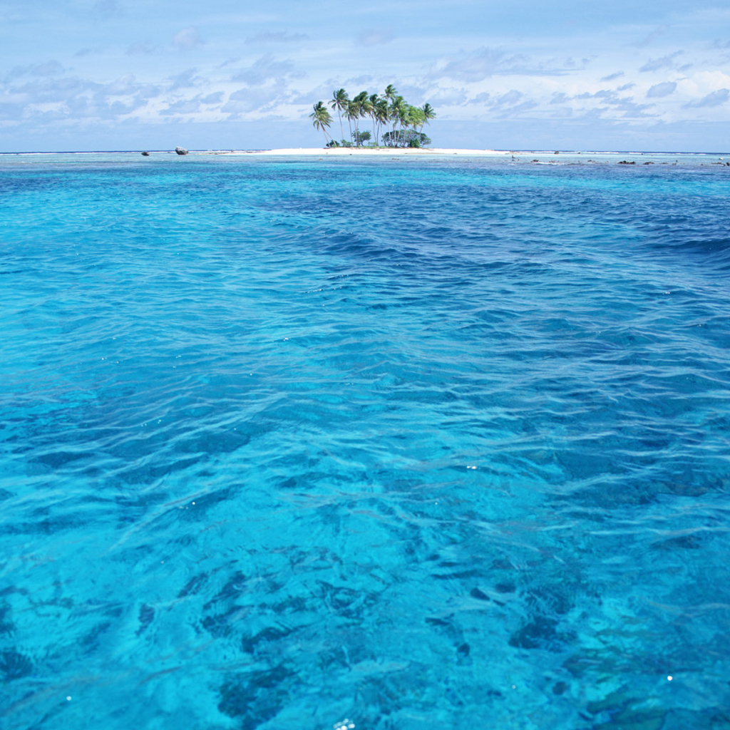 Остров с пальмами