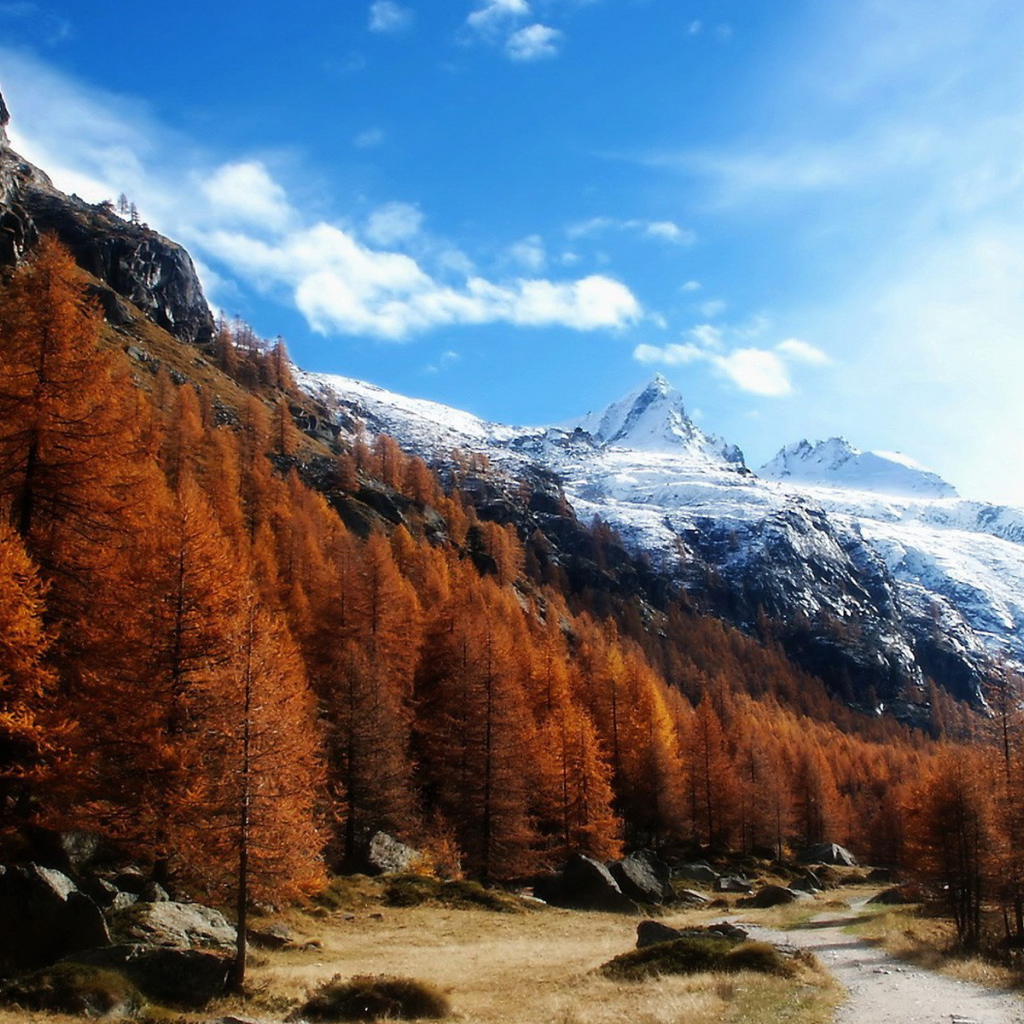 Высокогорный пейзаж