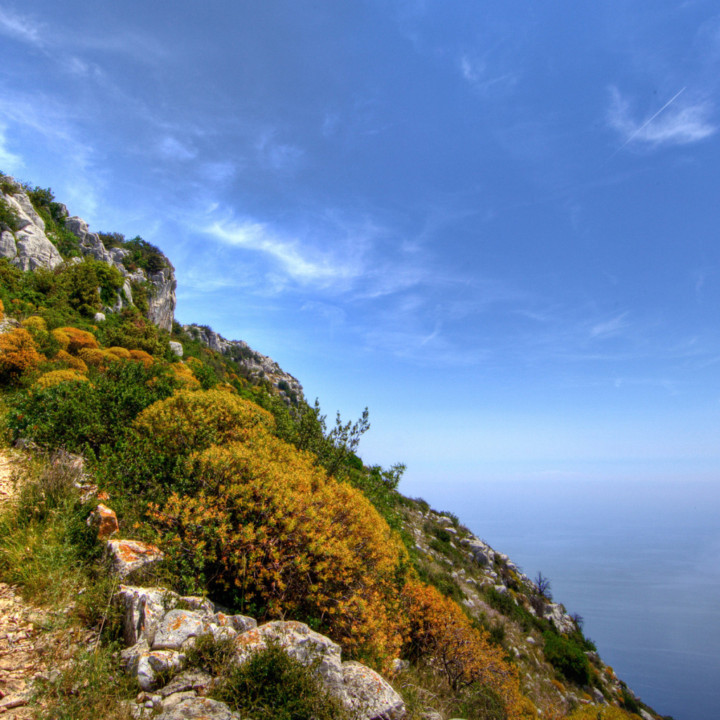 На вершине цветущей скалы