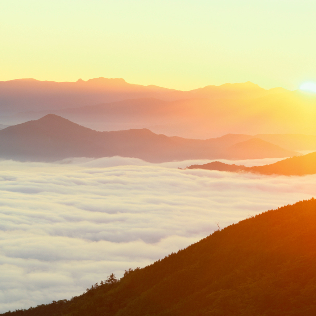 Густой туман