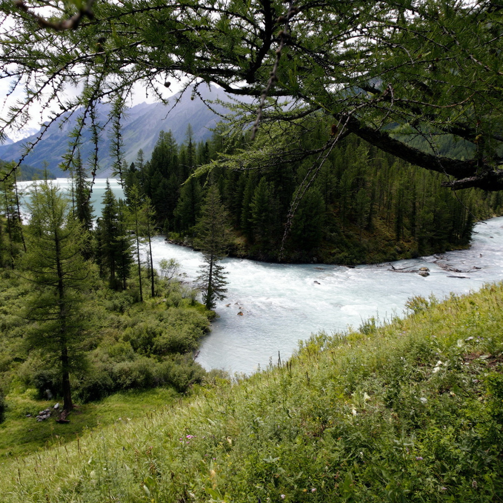 Горная река