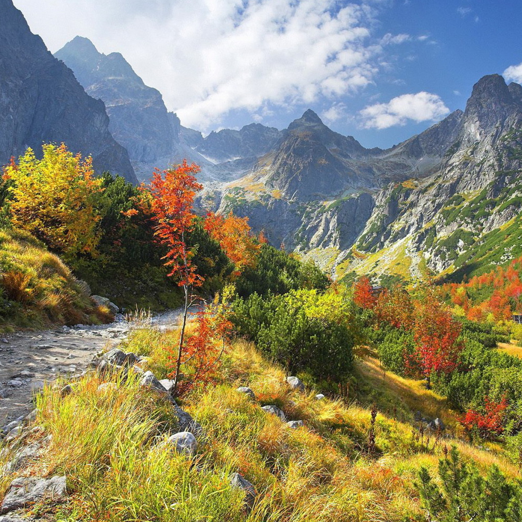 Горная тропа