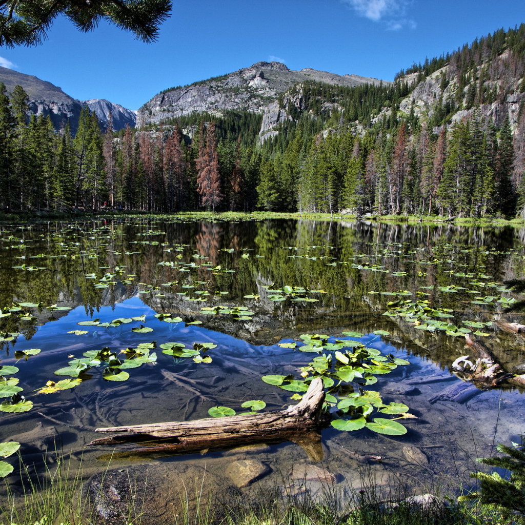 Горная запруда