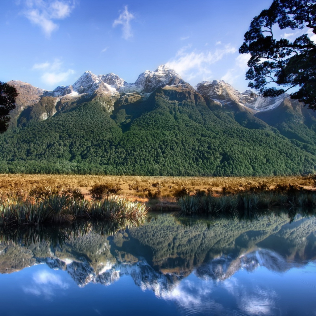 Горы и пруд