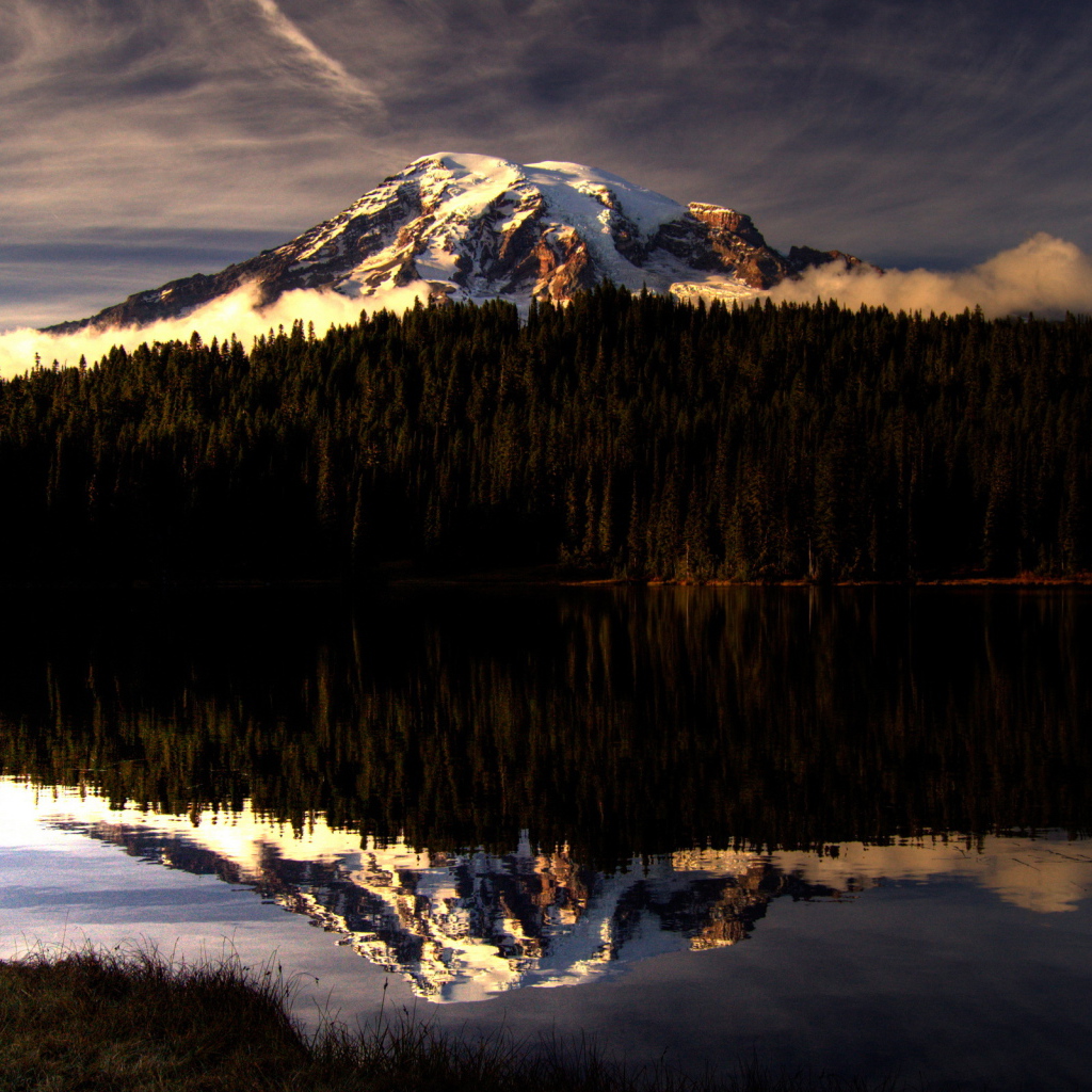 Горы за лесом