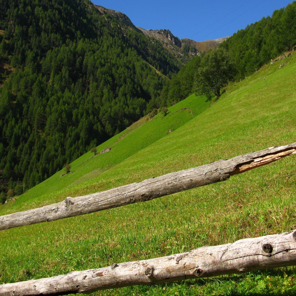 На склонах гор
