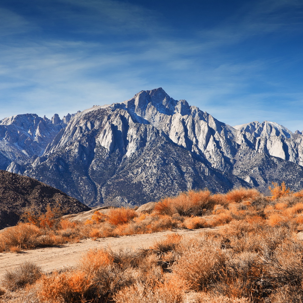 Горный хребет