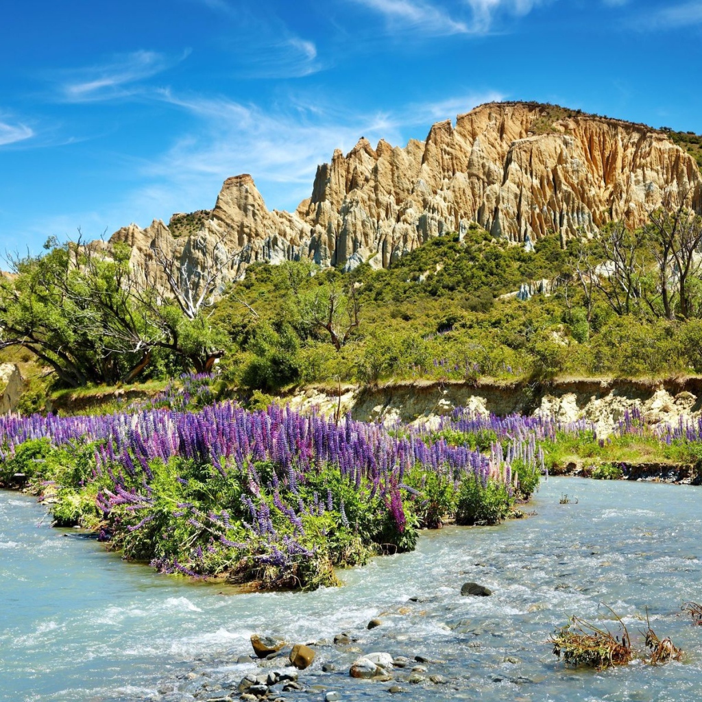 Скалы и речка