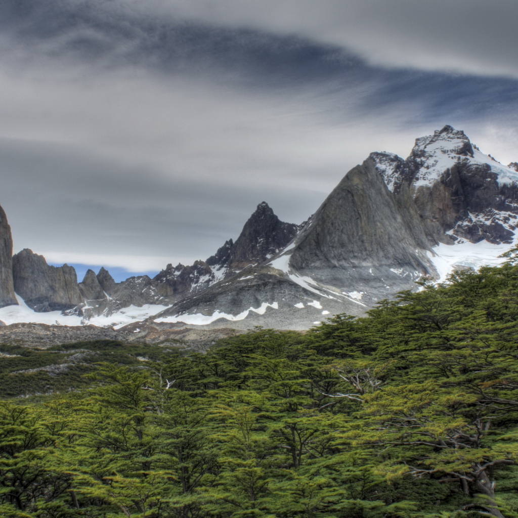 Скалы за лесом