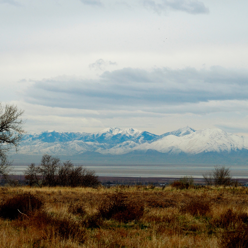 Снежные вершины