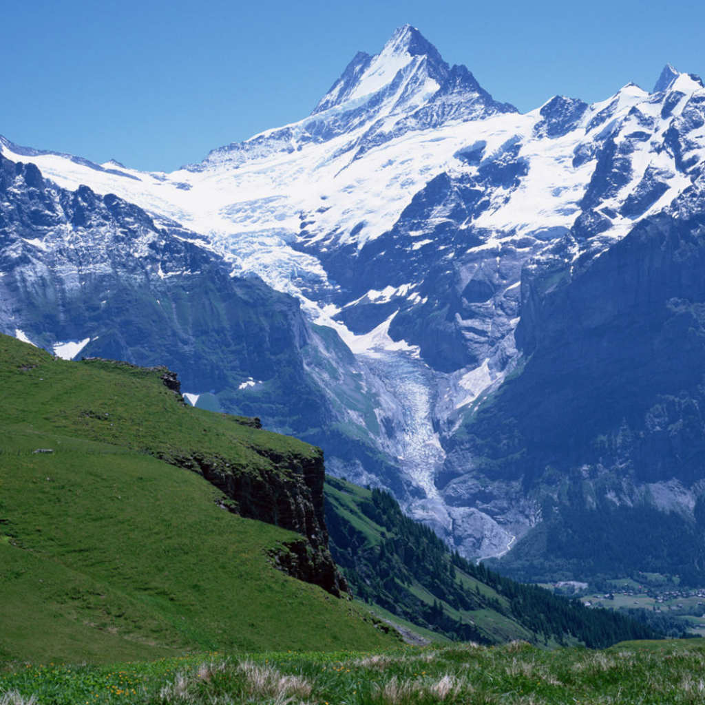 Снежная вершина