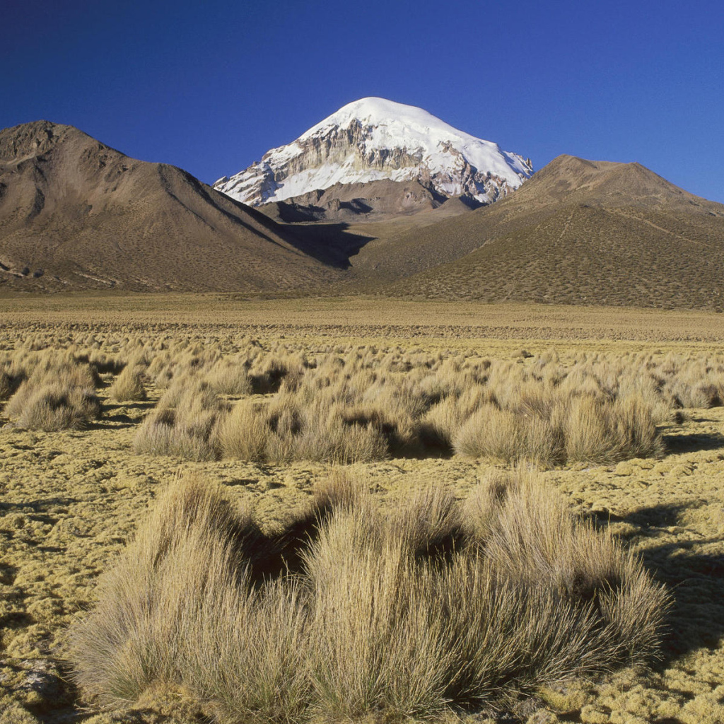Снежная вершина в пустыне