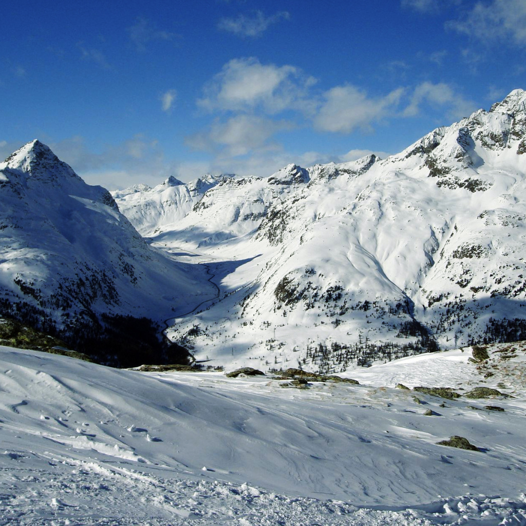 Снежные вершины