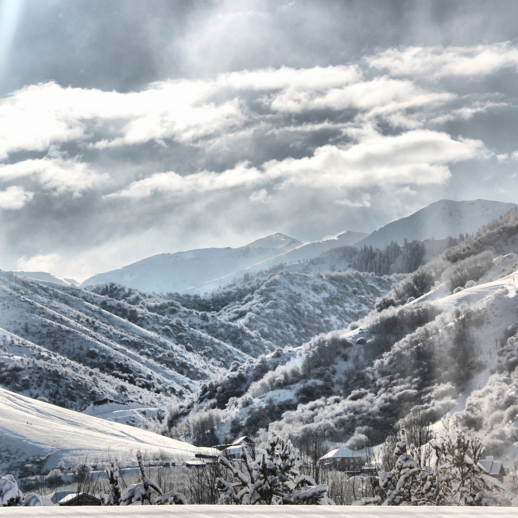 Снежные склоны