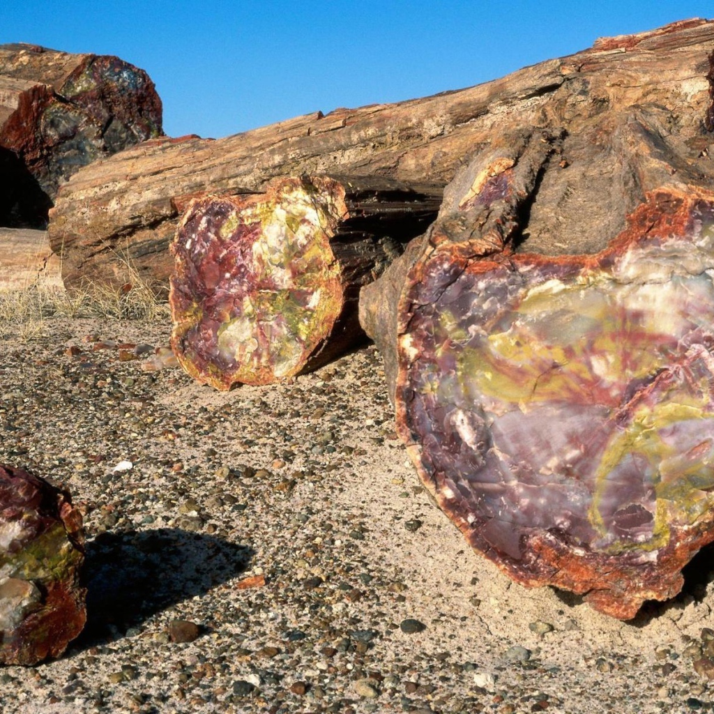 Древняя порода